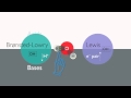 Exploring Acid-Base Theories: Brønsted-Lowry and Lewis