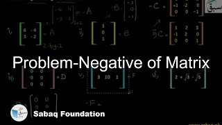 Problem-Negative of Matrix