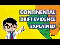 Evidence of Continental Drift Uncovered