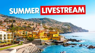 Answering Your Questions! - MADEIRA SUMMER 2026