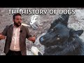 Understanding the Evolution and Domestication of Dogs
