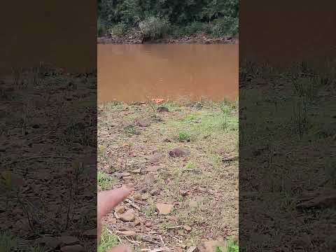 Se for superticioso não assista esse video 😰#explorar #nature #explore #vidanocampo #shorts