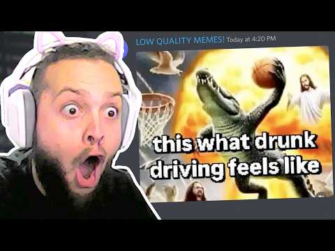 I Reacted to Low Quality Memes With the Piranha Plant Camera