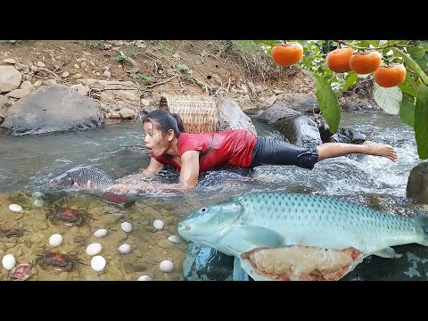 Catch a big fish in river and Cooking fish spicy chili for dinner, Catch crab Pick egg for survival