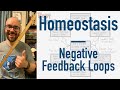Understanding Homeostasis