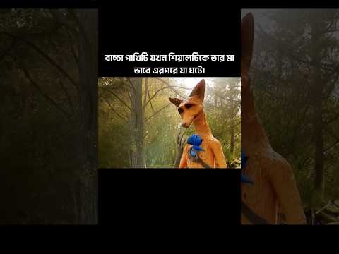 বাচ্চা পাখিটি যখন শিয়ালটিকে তার মা ভাবে এরপরে যা ঘটে।