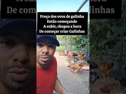 OVOS A PREÇO DE OURO? Não mais Aprenda a Criar Galinhas e Economizar com sua criação!🐔🥚💸#ovos