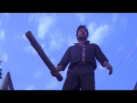 Chianjeevi Best Action Scene | Gang Leader Best Action Scenes | Shalimar Cinema