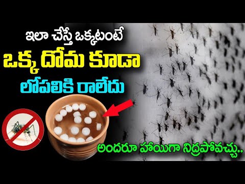 ఇలా చేస్తే ఒక్కటంటే ఒక్క దోమ కూడా లోపలికి రాలేదు||Natural Remedy To Get Rid Of Mosquitoes #camper