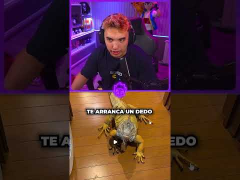 EL TIMMING