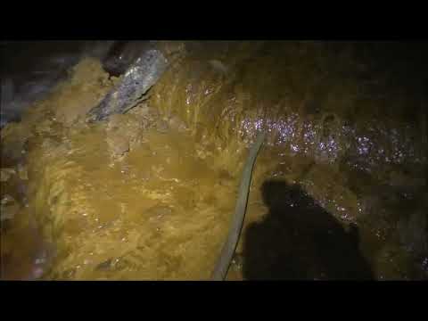 #69 Anyox 8 Into the mud !