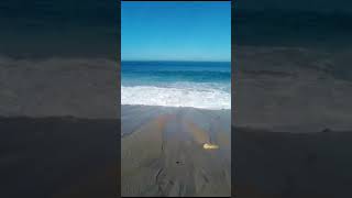 Playa de Puerto Vallarta, Jalisco, México