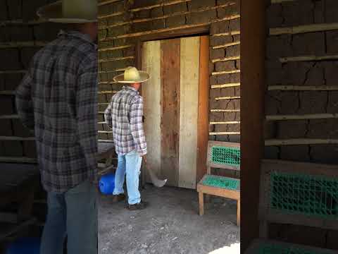 campesino  sale a trabajar y su mujer mete otro hombre a la casa. #campesinos #amor #historias