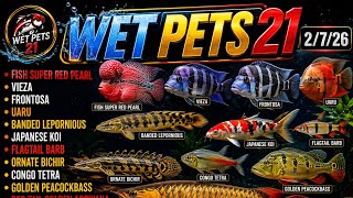 Exotic Fishes New Quality Stock 9971300375 All Variety 2 July 2026 