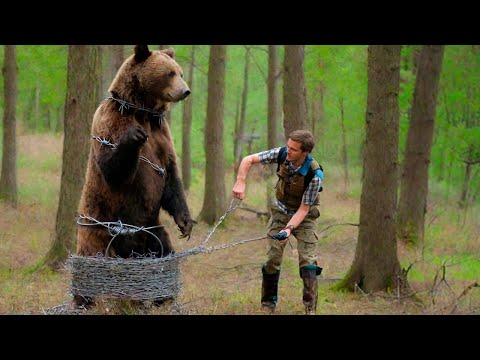 Медведь вышел к охотнику в надежде избавиться от страданий! То, что сделал мужчина, поразит вас!