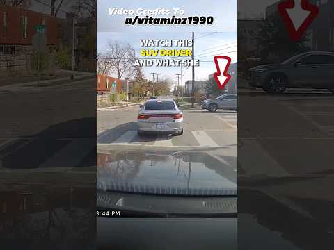 Crazy Karen Starts a Road Rage ☹️ & Road Rage Fail 😅 #roadrage #drivingfails #automobile