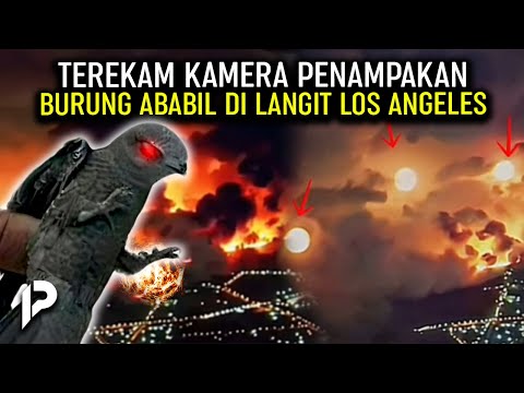 Burung Ababil Tertangkap Kamera Bawa Batu Api di LA! Fenomena Aneh yang Terjadi di AMERIKA