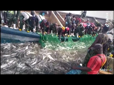 NET FISHING BOAT INDIAN OCEAN SEA 