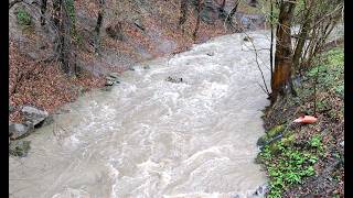 Märzhochwasser im Wienerwald (26.03.2026)