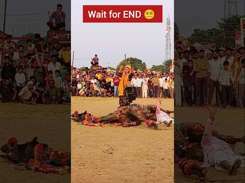 ऊंट की पीठ पर खड़े होकर डांसर ने किया डांस 😵‍💫😵‍💫 #dj #latestsong2025 #cameldance #camel #viraldance