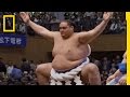 Sumo Wrestling Knowledge Assessment