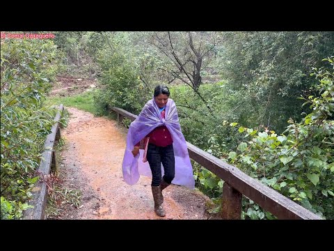 ✅️☔️😃Así nos sorprendió el huracán Eric en nuestra parcela