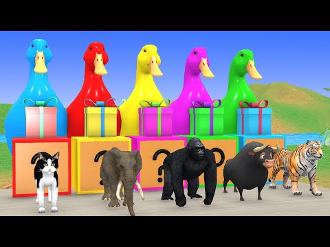 Long Slide Game With Cow Elephant Gorilla Hippopotamus Tiger 3d Animal Game Funny 3d Animals