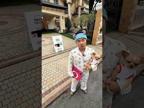 Ipad kid พาหมามาเข้าสังคมที่คาเฟ่เฮร์ว