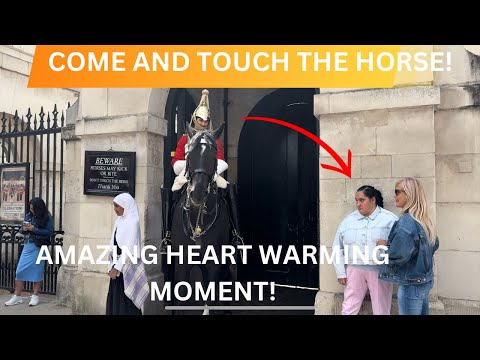 King’s  Guard Encourages Special Person To Touch The Horse- Live