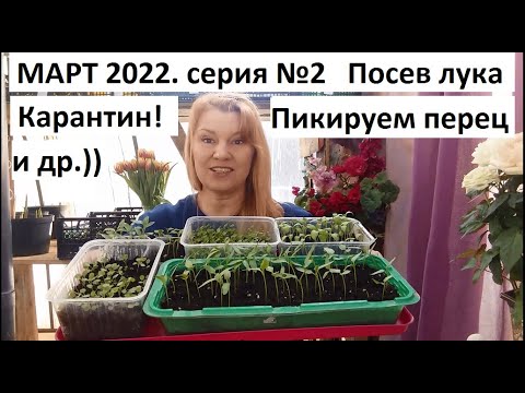 Март 2022 г. серия 2 Посев лука. Пикировка перца и петунии