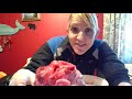 Heart Anatomy and Dissection Procedures
