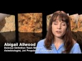 Mars Exploration and Rock Analysis