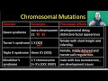 Genetic Disorders and Gene Therapy