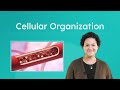Understanding Multicellular Organisms