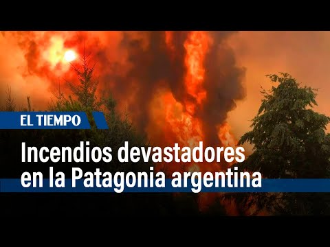 Incendios en la Patagonia: Más de 37.000 hectáreas afectadas | El Tiempo