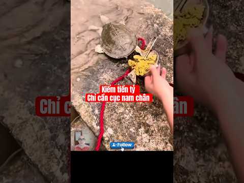 Nam châm có hút được vàng không mọi người #phucgoat #xuhuong