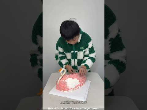 আমার বোনের জন্য Birthday cake বানালাম~ 🍮🥰#birthday #shorts