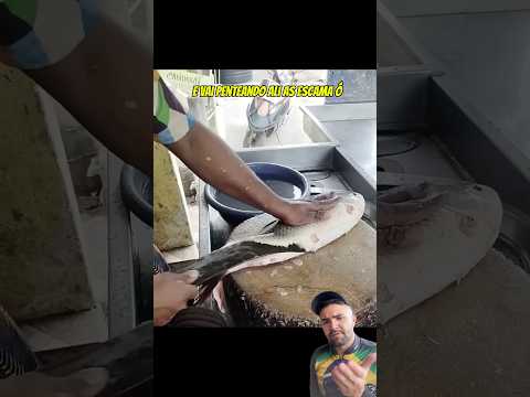 Esse daí é o Neymar do facão! 🔪🐟 #pescaria #pescador #pescando #peixe #peixaria