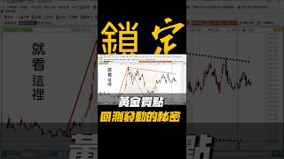 台特化（4772）去年就設計好的策略，後來市場真的照著走 #台特化 #4772 #股票 #台股 #技術分析 #交易策略 #操盤#無相流 #巔峰交易局
