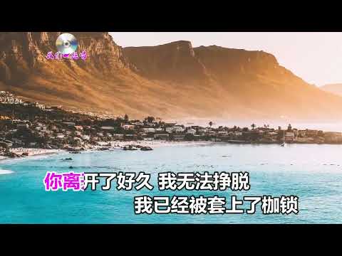 徐婧  我們能否再相見 KTV