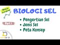 Cell Structure and Function Concepts