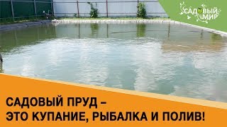видео