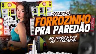 SET FORROZINHO 2025🔥 REPERTÓRIO 2.0, PRA PAREDÃO🔊EM ALTA SO LANÇAMENTO TOP 2025🚀 WM DO FORROZINHO