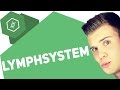 lymphsystem/