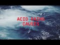 Effects and Causes of Acid Rain