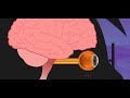 Functions of the Eye