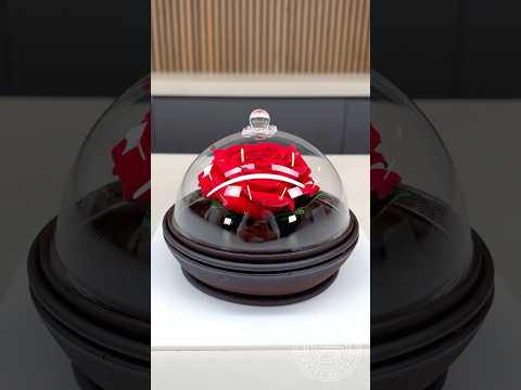 Beauty and Chocolate!🌹The most romantic dessert! ￼#amauryguichon #chocolate #rose
