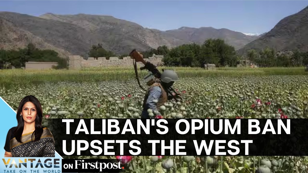 Taliban's Opium Ban: Why The West is Upset With The Decision