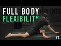 Mobility and Stretching Techniques