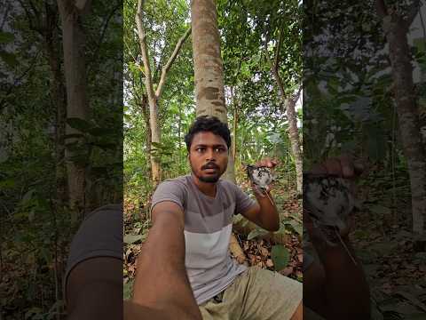 সারাদিন এই ভুতুড়ে জঙ্গল এ একা কাটাবো | 😨👻😱 | #minivlog #vlog #banglavlog